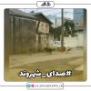 #صدای_شهروند| پرسه زنی سگ های ولگرد در لنگرود