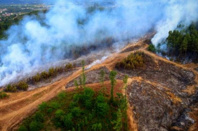 ایجاد حریق در ۸۰ هکتار از اراضی جنگلی استان گیلان