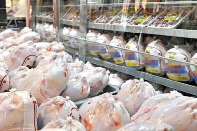 تولید روزانه ۵۰۰ تن مرغ در گیلان/ مرغ گیلان به ۵ استان کشور صادر می شود