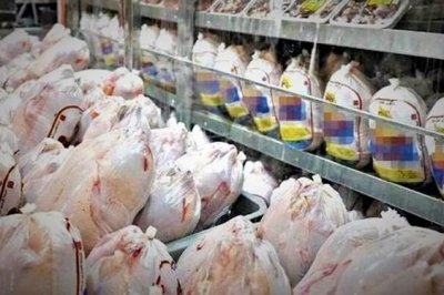 توزیع مرغ 48 هزارتومانی در گیلان