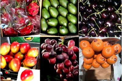 میوه های وارداتی، حیاط خلوت تجار خاص