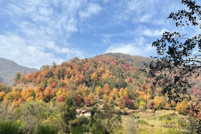 رنگ آمیزی سحرانگیز پاییز در طبیعت زیبای بلوردکان لنگرود