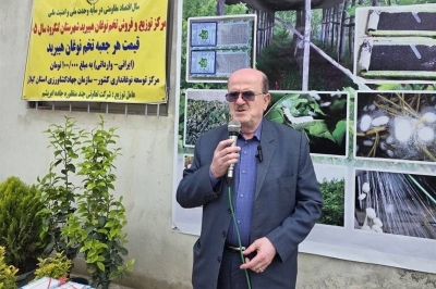 لاهوتی: ارز تک نرخی نویدبخش شکوفایی کشاورزی گیلان است/ درخواست احداث «موزه ابریشم» در لنگرود