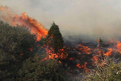 حریق ۴۵هکتار از اراضی جنگلی گیلان/آتش سوزی ها به طور کامل مهار شد
