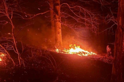 آتش سوزی در ۸ هکتار از اراضی صعب العبور املش