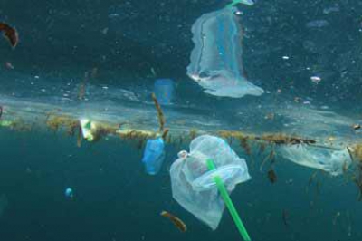 پاکسازی دریاهای جهان با باکتری های پلاستیک خوار