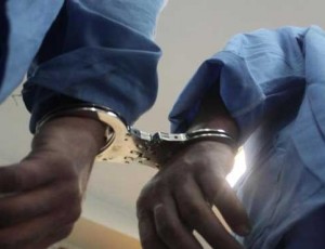 اعضای باند کلاهبرداری شرکت هرمی در«لاهیجان»دستگیر شدند