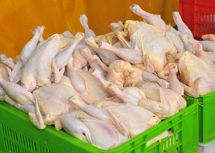 تولید بیش از 13500 تن گوشت مرغ در گیلان