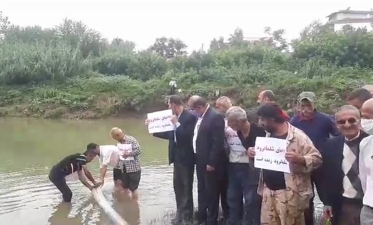 رهاسازی 1 میلیون بچه ماهی سفید استخوانی بهاره در رودخانه شلمان رود لنگرود