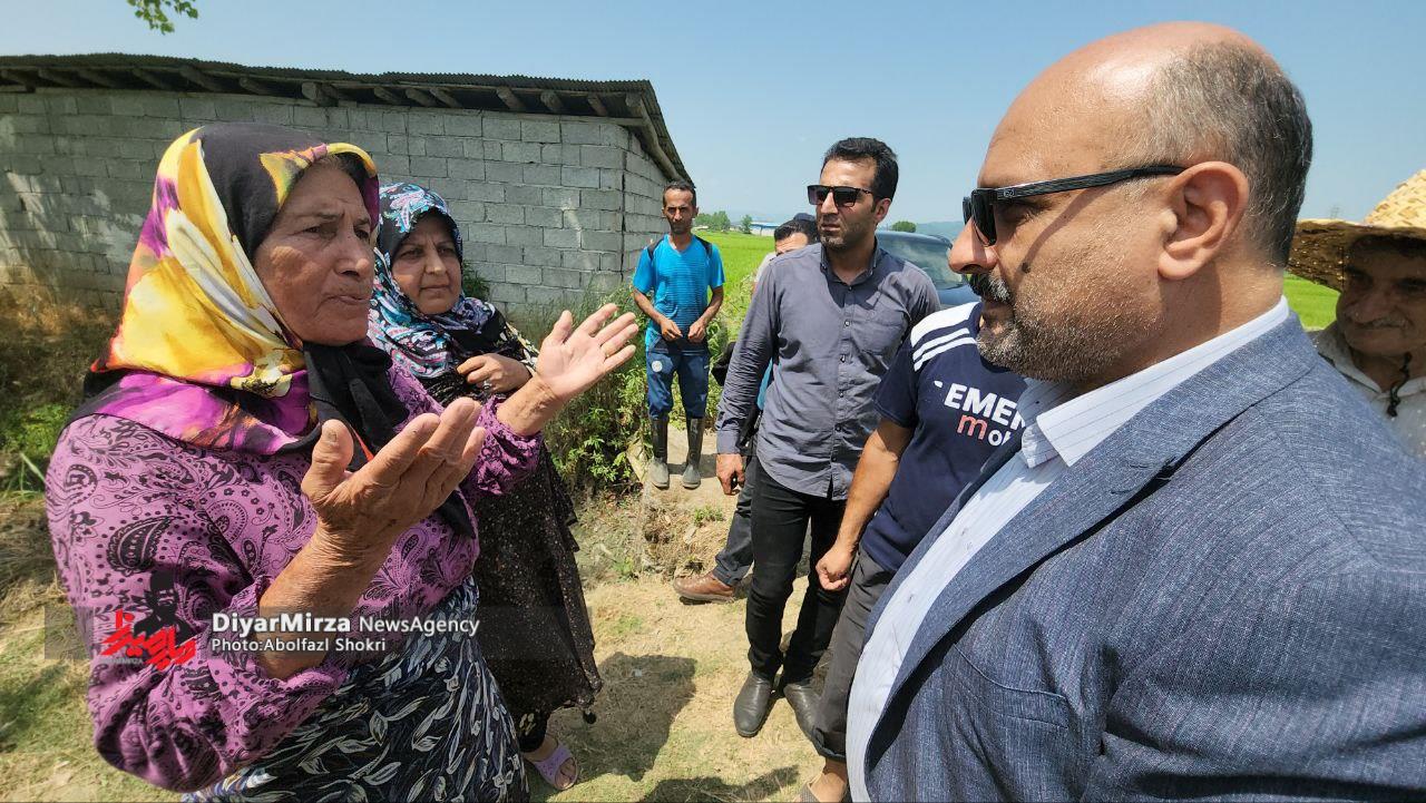 بازدید مسئولان از مزارع شلمان/خرمی: کشاورزان نگران نوبت بندی آب نباشند